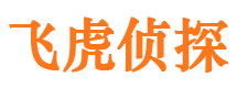 庆安侦探公司